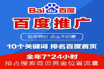 百度竞价排名实战：某行业领先企业的成功之路